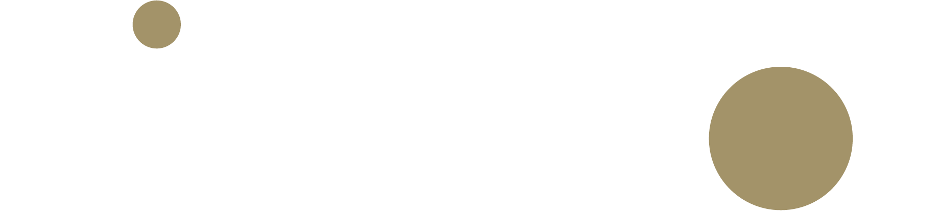 The Fine Dot